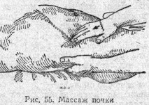 Массаж почки